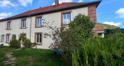 Situé à Champenay le Gite de La Falle Vous Propose un Studio Tout Équipé