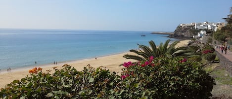 Tumbonas y toallas de playa