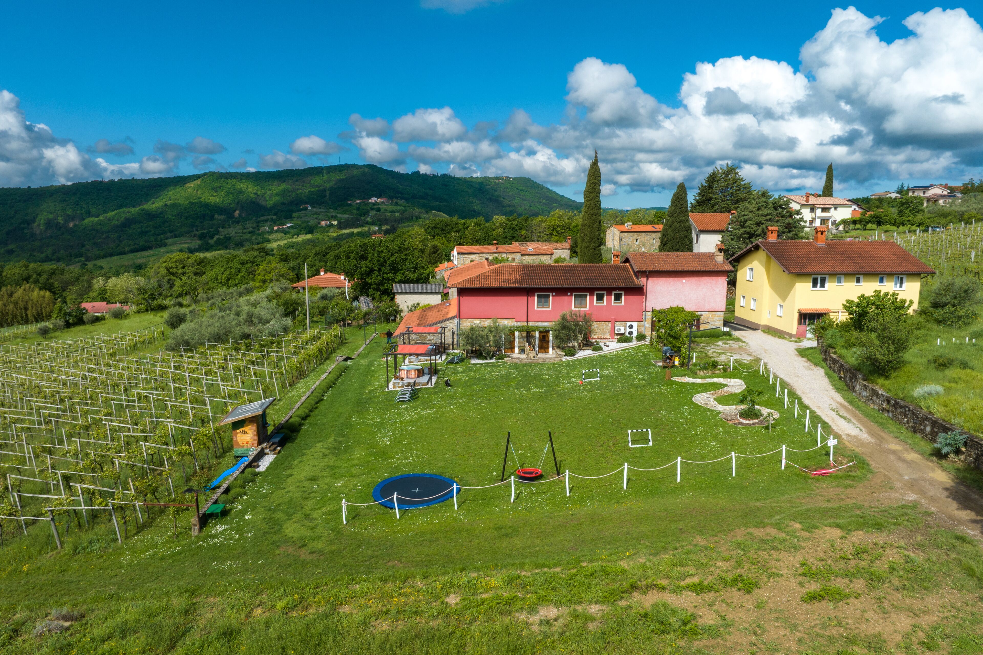 A vineyard with rows of grapevines, a playground, and a small building.