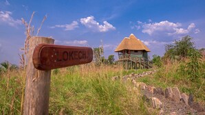 Unclassified image, 2 of 25, button - Tilenga Safari Lodge  (Pakwach)