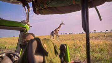 Game drive