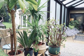 Terraza o patio