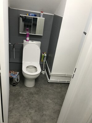Hair dryer, towels, soap, toilet paper - Appartement Cosy (Andolsheim)