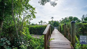 A wooden boardwalk surrounded by dense greenery and palm trees, leading to a private dock area. - Fort Myers Getaway w/ Hendry Creek Access! (Fort Myers)