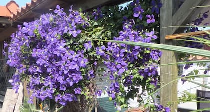 5 star holiday apartment “Am Mönkeberg” in the Weserbergland