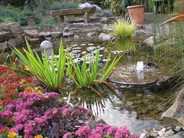 Property grounds - 5 star holiday apartment “Am Mönkeberg” in the Weserbergland (Emmerthal)