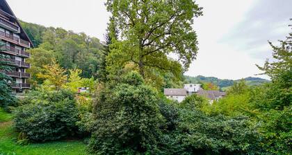 Gaishöll Apartment Gemütliche Schwarzwald Wohnung bei den Wasserfällen