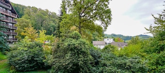 Gaishöll Apartment Gemütliche Schwarzwald Wohnung bei den Wasserfällen