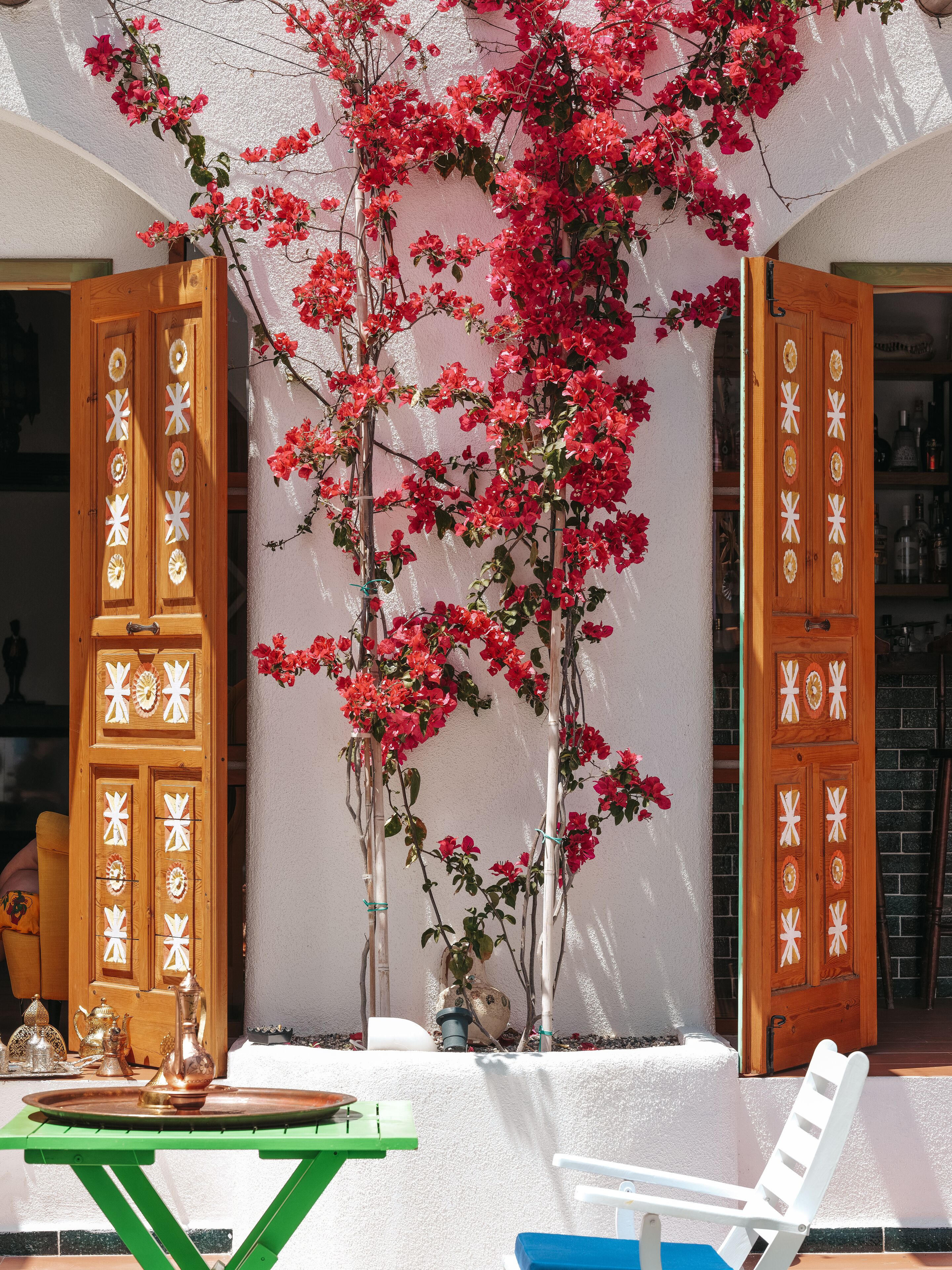 Foto - Casa De Nova Hotel