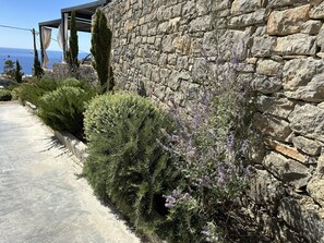 Áreas de la propiedad