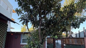 A residential backyard with a large tree, a stone sculpture, and a wooden fence. - LA CASITA ON EAST 7TH STREET (Austin)