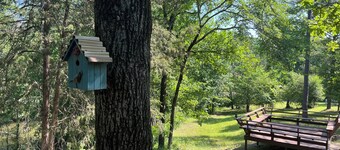 Cabin #11 Sunset Overlook, Cozy Cabin on the Lake