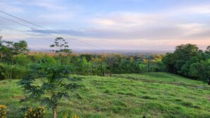 Een grasveld met bomen en een verafgelegen stadsgezicht.