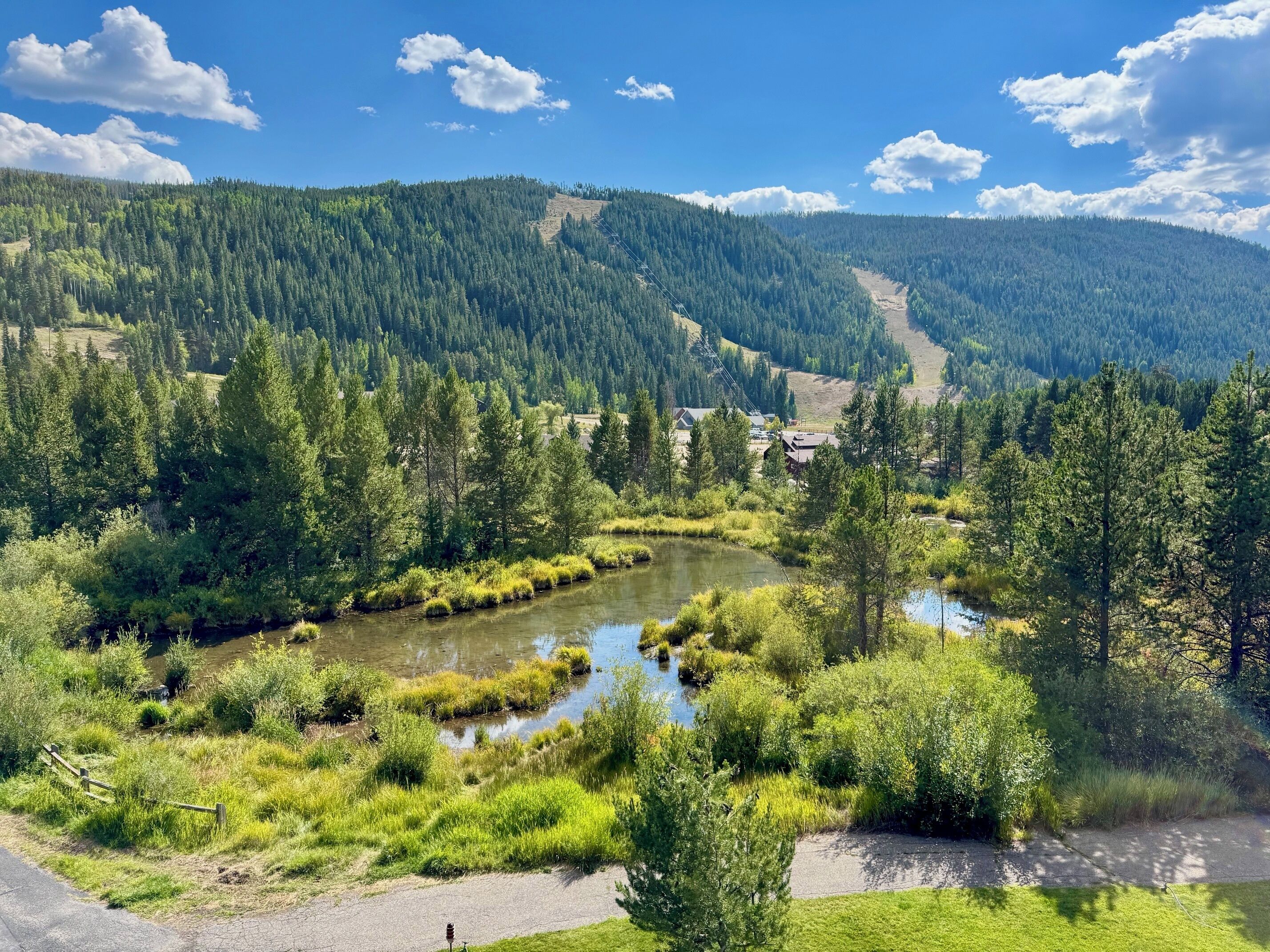 Eine natürliche Landschaft mit Fluss, dichtem Wald und blauem Himmel.
