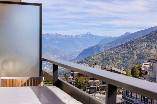 Property grounds - Les Platanes E4 - 5 pers - centre station (Haute-Nendaz)