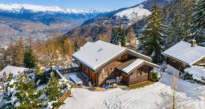 Gisèle - 8 pers - près des pistes