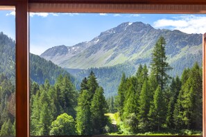 A mountainous landscape with dense forests and a clear sky.
