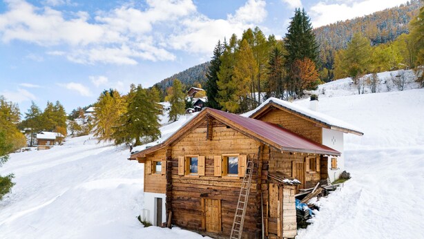 A wooden cabin with a metal roof, surrounded by snow-covered ground and trees.