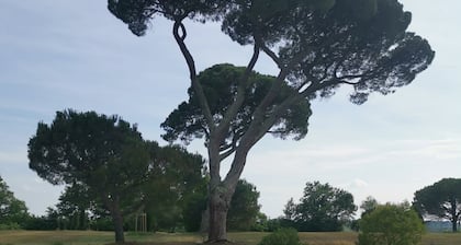 Château Haute-sage : Demeure Familiale D'exception Avec Piscine
