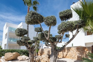 Jardines del alojamiento