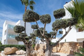 Property grounds - MarSenses Ferrera Blanca Hotel - Adults Only (Felanitx)