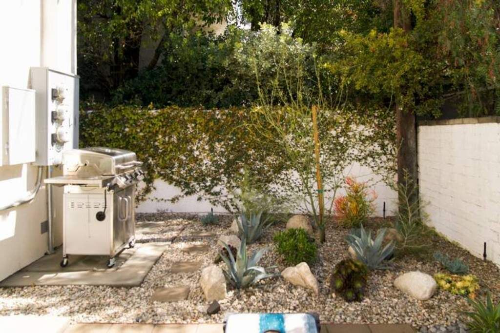 A garden with various plants and a small water feature.