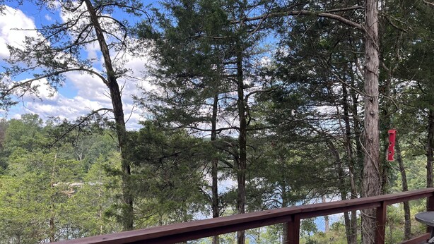 Una terraza de madera con barandilla que da vista a un área boscosa y un cuerpo de agua.
