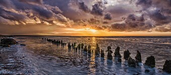 Huize Moddergat! Slapen aan de Voet van de Waddenzee