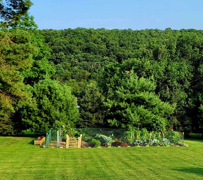The Pause Bed & Breakfast