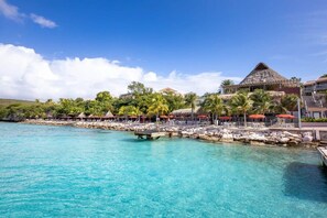 Miscellaneous - Coral Dreams & Ocean Whispers at Villa Solaris (Curacao)