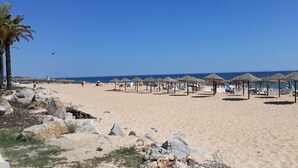 A beach with thatched umbrellas and lounge chairs, a palm tree, and a clear blue sky. - Gyrus Villa, São Brás de Alportel, Algarve, Piscina Pool, Wifi (São Brás de Alportel)