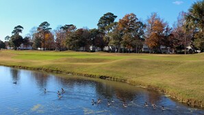 Un parcours de golf avec un étang et des canards, entouré d’arbres et de maisons.