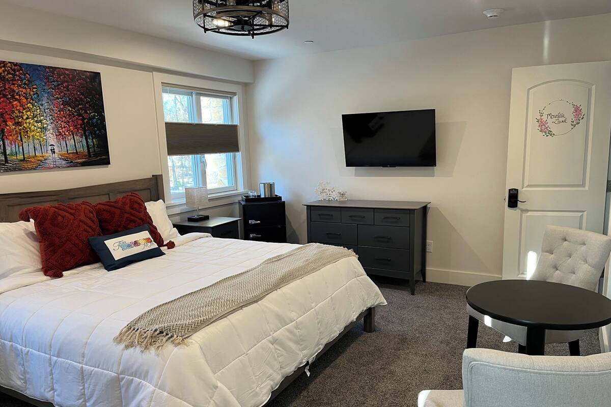 Une chambre à coucher avec un lit, un bureau, une chaise, une télévision et une porte.