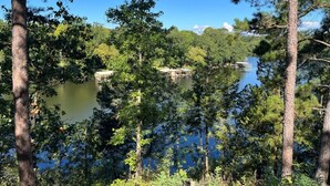 A forested area with a lake and a dock.