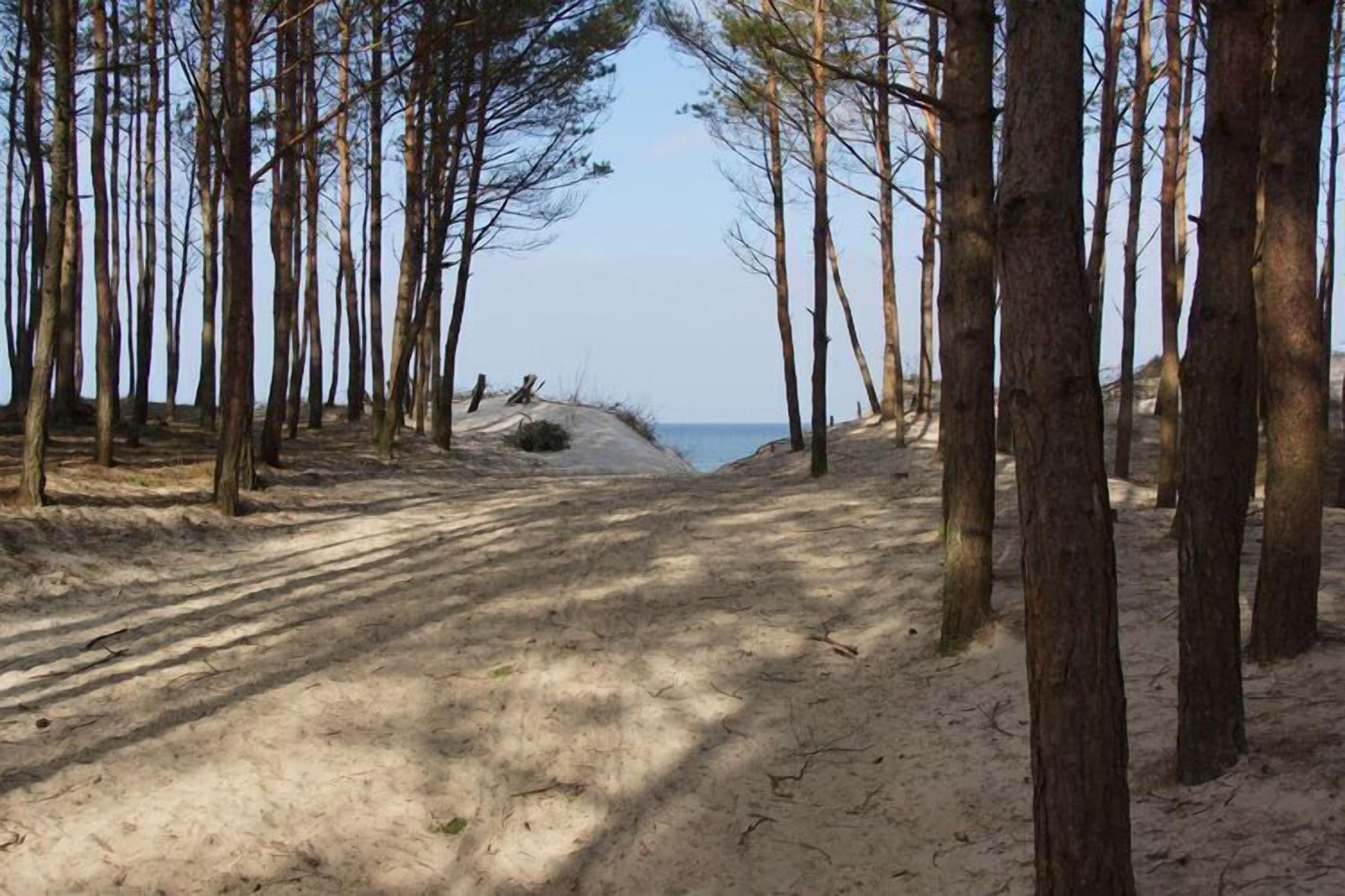 Plage à proximité