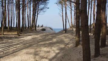 Plage à proximité