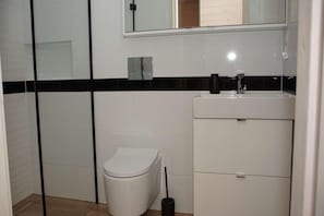 A bathroom with a toilet, a sink, and a mirror.