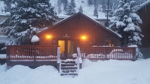Eksteriør