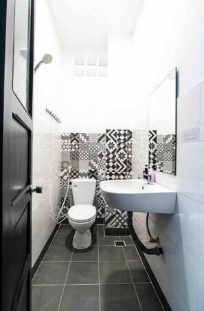 Bathroom features a toilet, sink, and mirror.