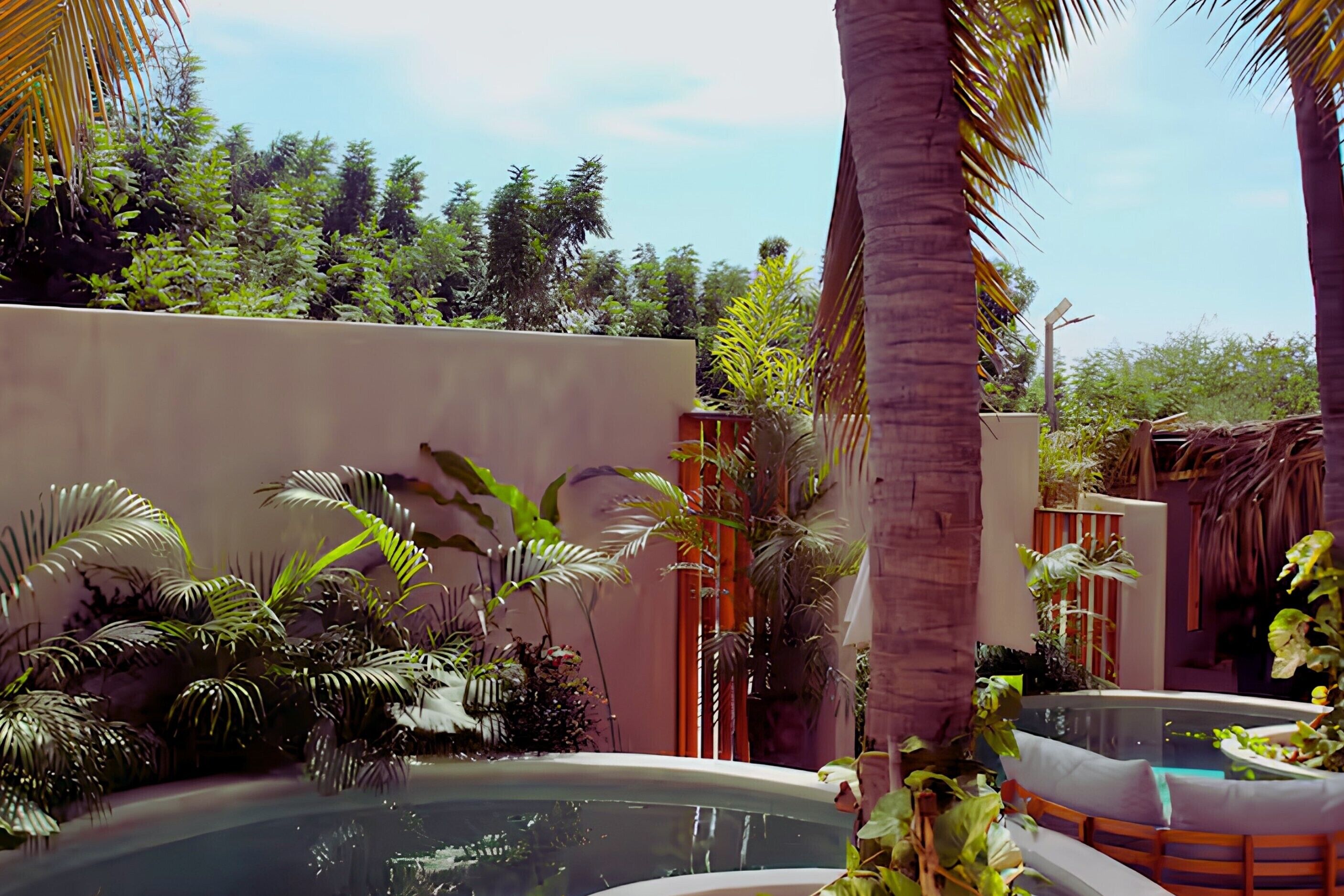 Ein Poolbereich mit umgebender Bepflanzung und blauem Himmel.