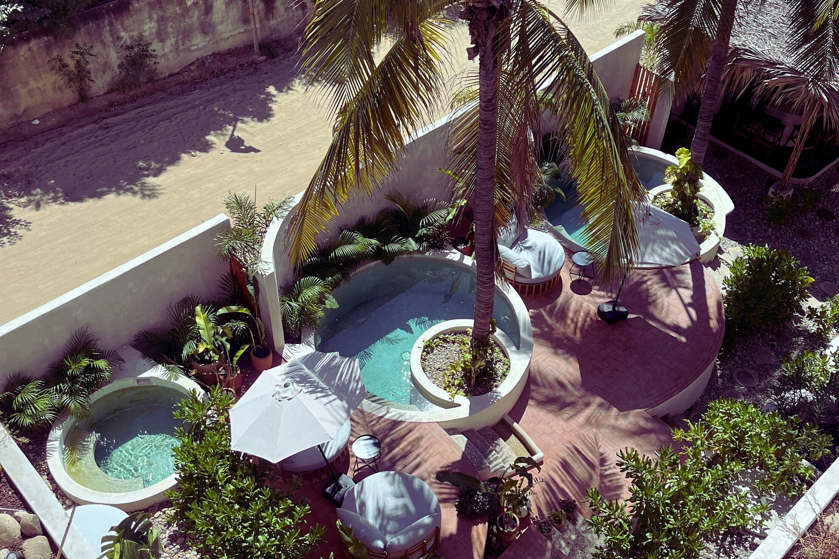 A rooftop pool area with multiple hot tubs, palm trees, and lounge chairs.