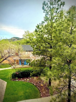 A house with a covered porch, surrounded by a well-maintained lawn and a large pine tree.