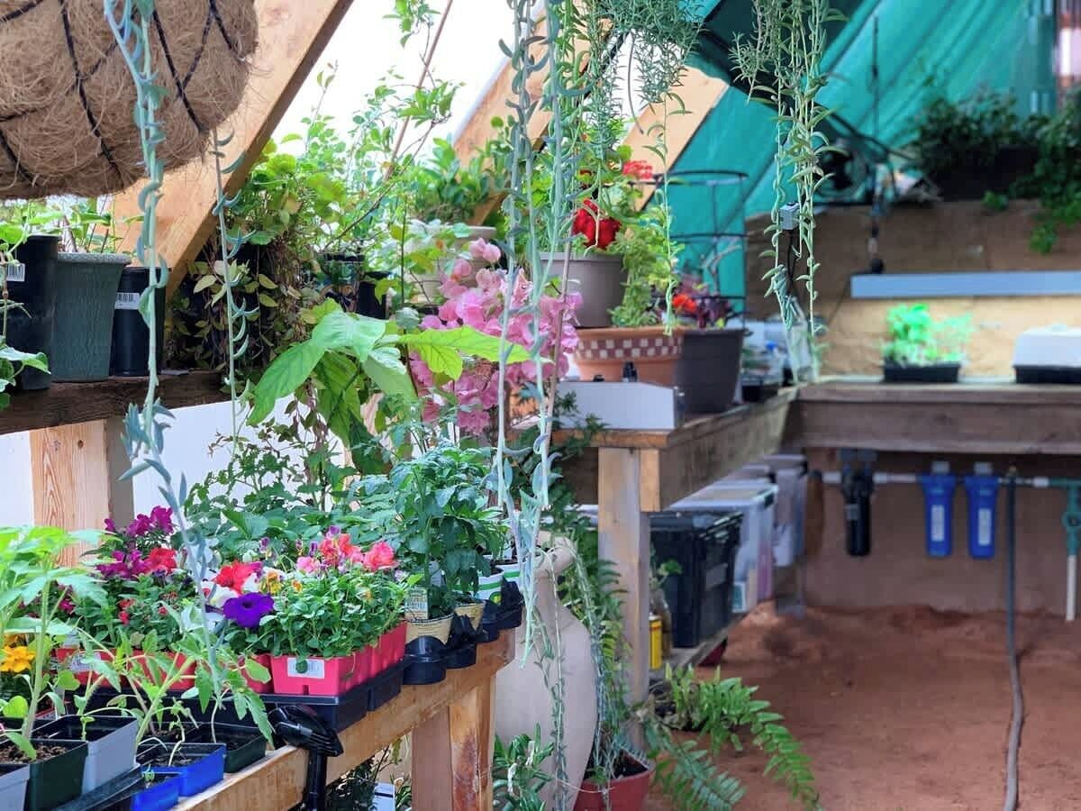 A vertical garden with various plants and flowers, a wooden structure, and a green tarp in the background.