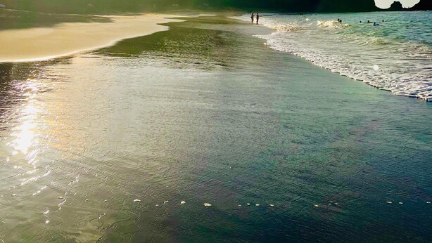 Ein Strand mit blauem Himmel, ruhigem Wasser und einem entfernten Berg.