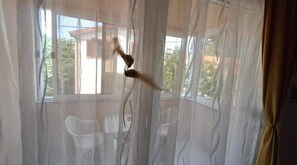 Interior - Apartment Aria Lux (Mostar)