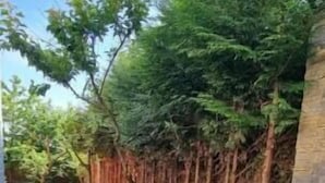 Una terrazza esterna con un tavolo in metallo e quattro sedie di legno, circondata da un muro in pietra e una fila di alberi.