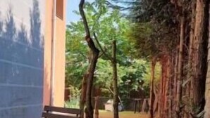 Un'area patio con una panchina e un tavolino, circondata da alberi e un muro in mattoni.