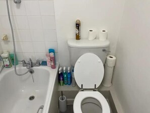 Hair dryer, towels, soap, toilet paper