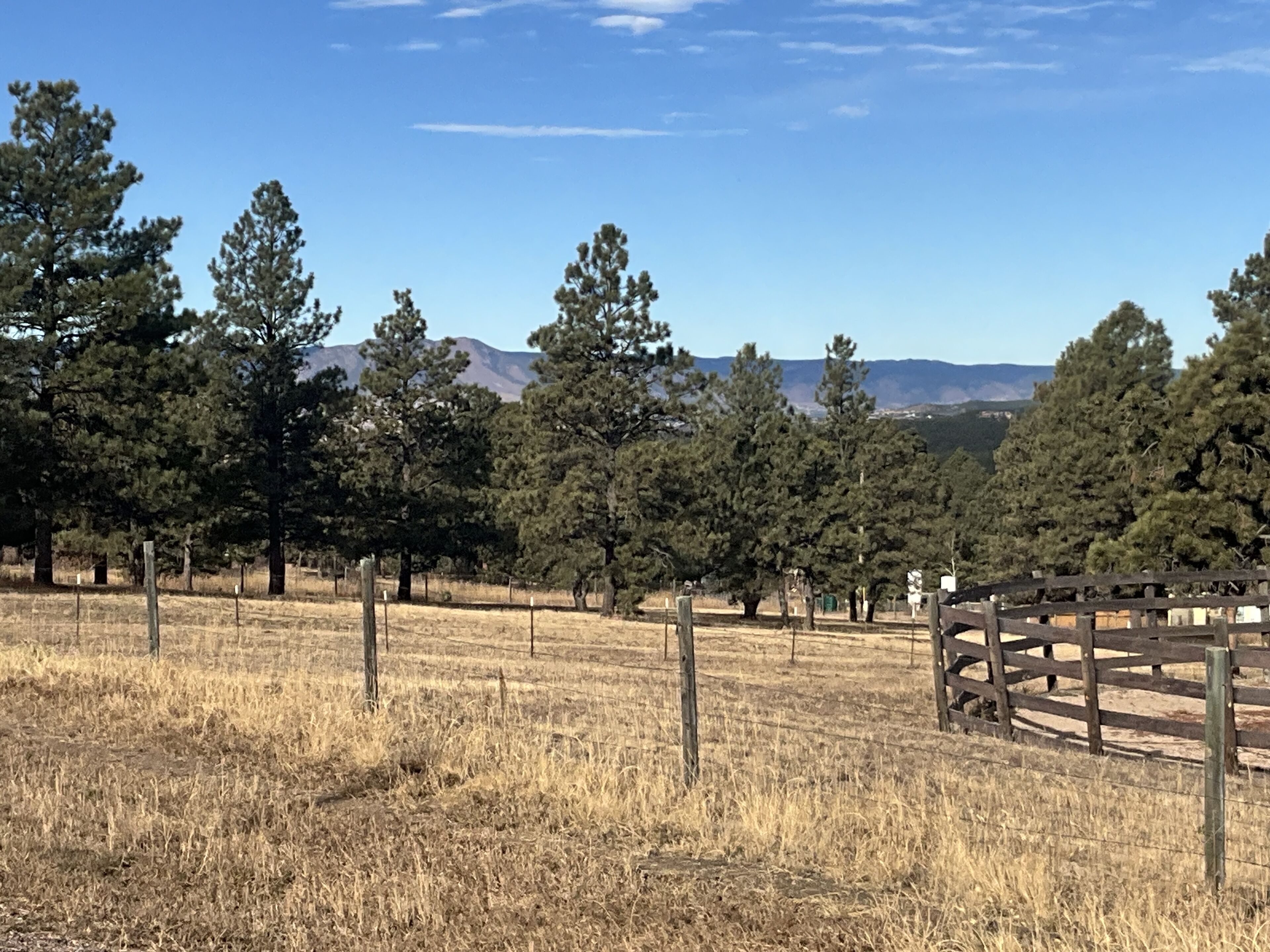 A fenced field with dry grass and trees, a wooden gate, and mountains in the background.