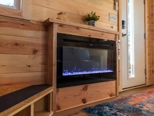 A wooden interior with a built-in entertainment unit, a small plant, and a colorful rug.